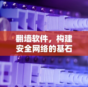 翻墙软件,构建安全网络的基石